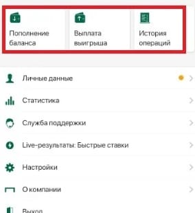 Финансовые операции в ЛК Лига Ставок