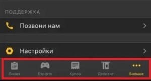 Меню приложения Мелбет на iOS